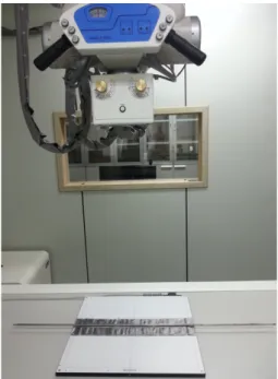 Fig. 1. Experimental set-up for the sodium-cooled fast  reactor by digital radiography.