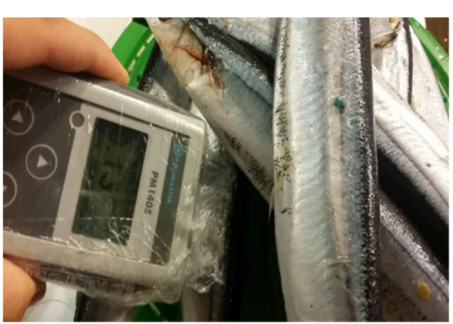 Fig. 1. Radiation dose measured of survey meter  (PM1405) in fishery. 2.  설문조사 판매자  50명,  소비자 50명 총 100명을 조사하였으며,  후쿠시마  원전사고  이후  판매자와  소비자  모두  수산물    설문지를  이용해서  설문조사하여  분석하였다 