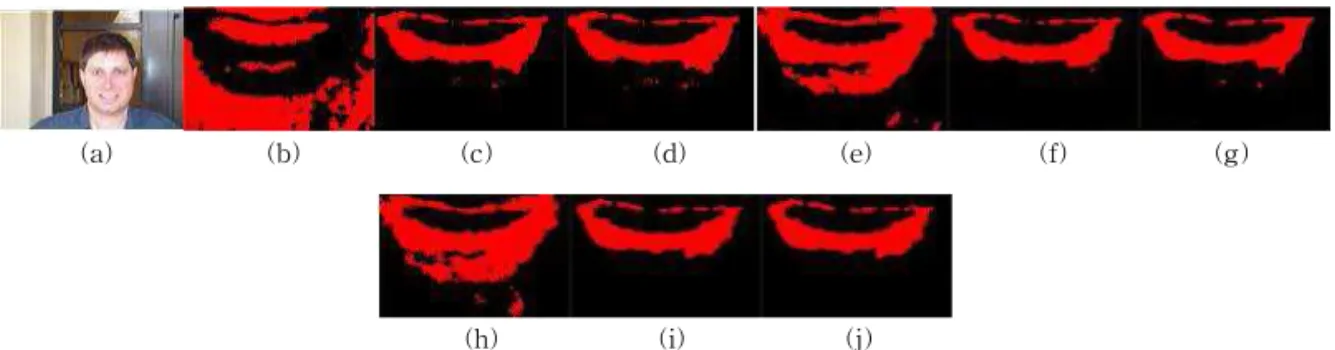 Fig. 12. Extracted lips region for the sample image.