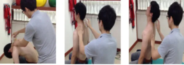 Fig.  2.  SpinalMouse. Fig.  3.  DUALER  IQ.