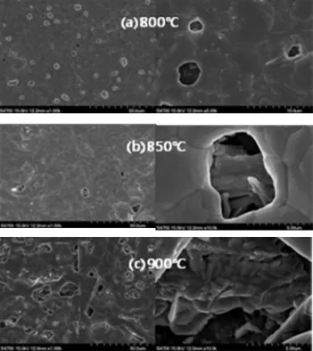 Fig. 7. SEM top views of the coated conductors with silver  layer which were heat treated at 850 ℃ and 900 ℃ in  oxygen atmosphere