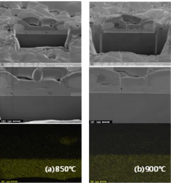 Fig. 9. SEM cross section views by FIB and EDX mapping  result for Ni atom of the coated conductors with silver  layer which were heat treated at 850~900 ℃ temperatures  in an atmosphere with low oxygen partial pressure