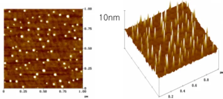 Fig. 1. 2D and 3D AFM pictures of Y 2 O 3  nanoparticles  deposited on LAO substrate using 160 laser pulses