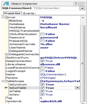 Fig. 2. Container Unit of data snap server. Fig. 3. SQLConnection Property.