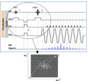 Fig.  1.  Diagram  of  spin-echo  DWI  sequence  with  pre-saturation  pulse  band  and  fat  saturation.