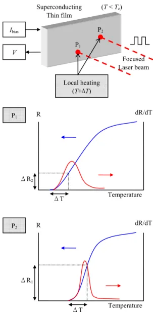 Fig. 1. Operating principle of the low temperature scanning  laser microscopy (LTSLM)