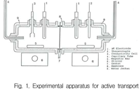 Fig.  1.  Experimental  apparatus  for  active  transport  measurement.