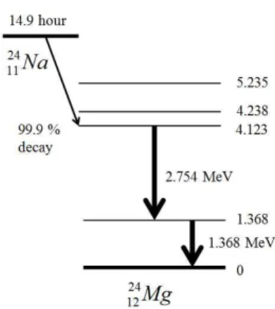 Fig 5. Gamma ray energy spectrum from the proton induced 27 Al sample by using 100 MeV proton beam.