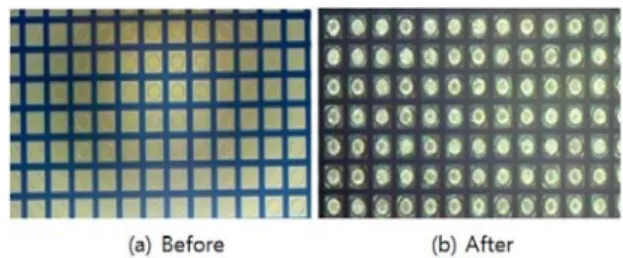 Fig.  4.  Illustraion  of  micro  bump  bonding  and  wire  bonding  for  CdTe  sensors  and  ROIC.