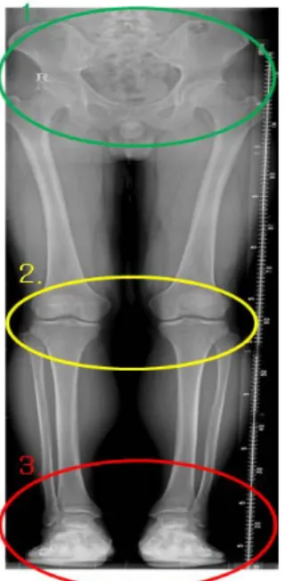 Fig.  10.  Image  evaluation  standard.