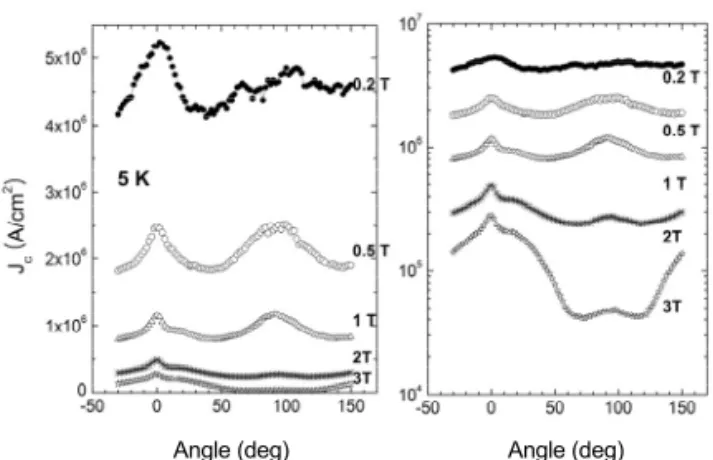 Fig. 1. Angular dependence of J c  measured at 5 K. The  right panel is a re-plot in the logarithmic scale in order to  clearly show the grain-boundary pinning effect in high  fields