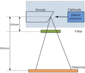 Fig. 2. Geometry for MCNP simulation.