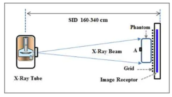 Fig. 1. Experimental setup.