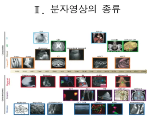 Fig.  1.  Range  of  medical  imaging.