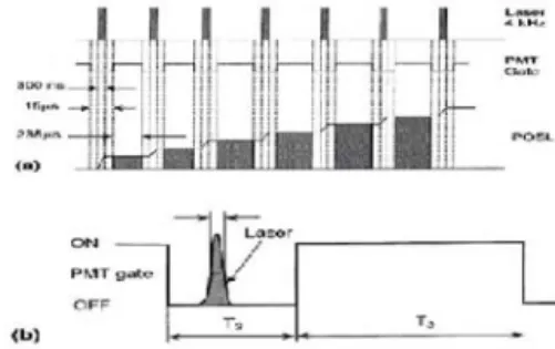 Fig.  6.  The  curve  of  measured  by  OSL.