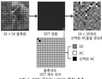 표 1. 실험에 사용된 비디오 변형 예시