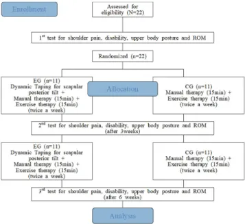 Fig. 1. Study design. EG: experimental group, CG: control group, ROM: range of motion 중재 방법은 도수치료, 운동치료, 다이나믹 테이핑으로  구성되어 있다