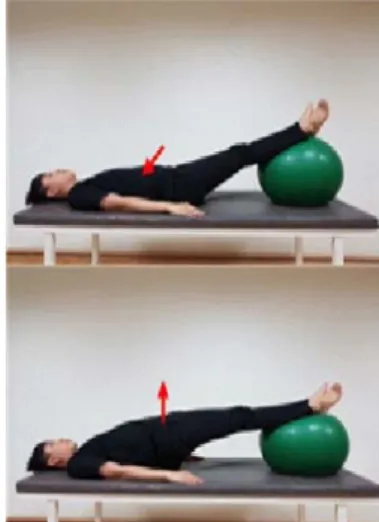 Fig. 5. Gymball exercise (Bride exercise)으기 1회 20초 실시한다.(9) 다리를 어깨너비로 벌리고 몸통 좌우로 돌리기 1회 20초 실시한다.(10) 제자리 걷기 2회 30초 실시한다.2)  스태빌라이저 운동군스태빌라이저를 이용한 배 끌어당김 방법의 훈련으로 교각 운동의 시작 자세와 같은 자세로 무릎관절을 90° 굽혀 누운 자세에서 실시하였다