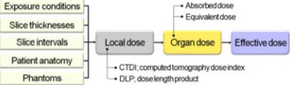 Fig.  3.  Block  diagram  of  the  classification  for  patient's  exposure  doses  from  computed  tomography  scan.