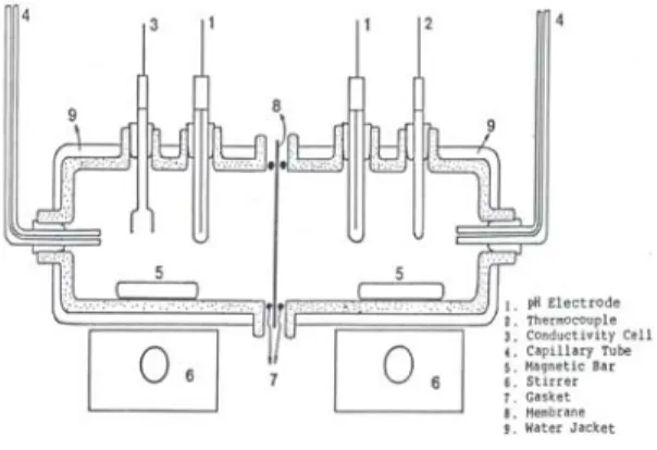Fig.  1.  Experimental  apparatus  for  selective  transport        measurement 