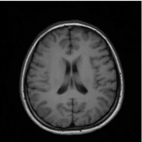 Fig. 5. Shared Memory Organizations.
