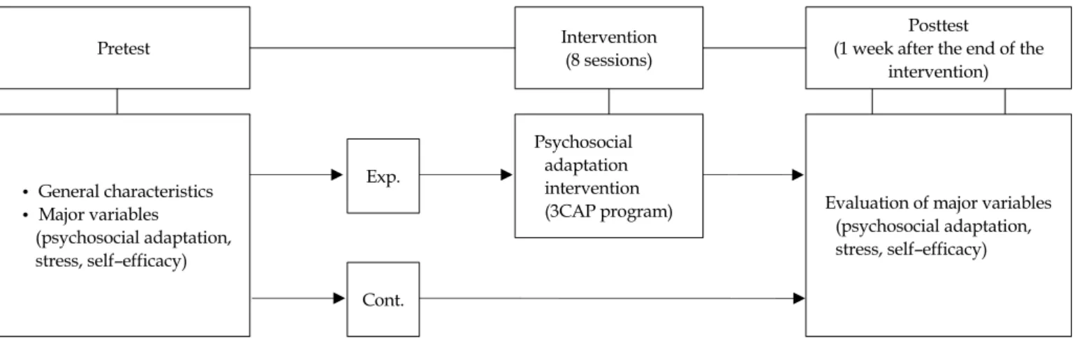 Figure 1. Research design. 3CAP, creative-cognitive-cooperative-adaptation promotion program; Cont., control group; Exp., experimental group.