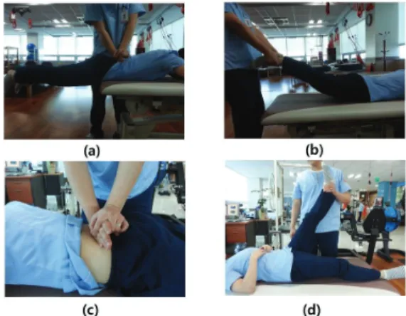 Fig. 1. Lumbar instability tests