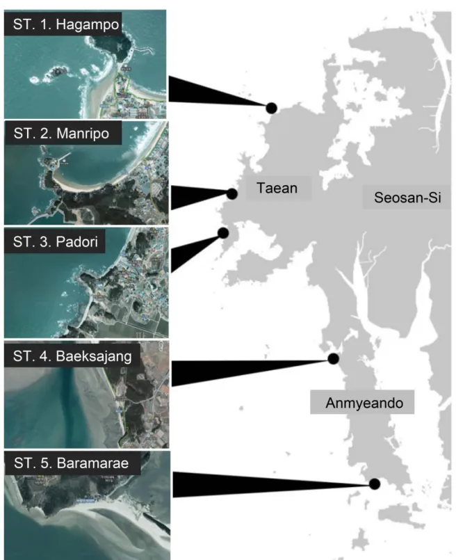 Figure 1. Sampling stations of research Area.