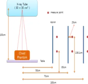 Fig.  3  This  picture  shows  the  vertical  plane  of  measure  point