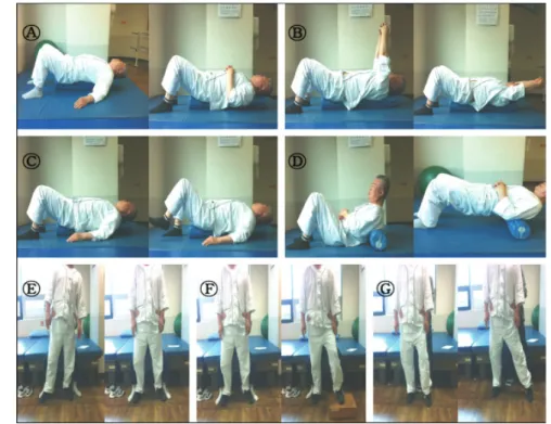 Figure 1. Exercise program for trunk control exercise group and general balance  exercise group.(A, B, C, D: Trunk control exercises; E, F, G: General  balance exercises)