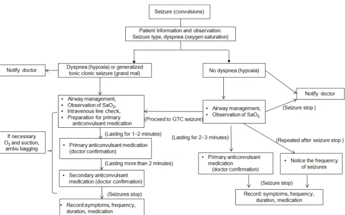 Figure 1. Algorithm for nursing interventions during seizures in children with epilepsy.