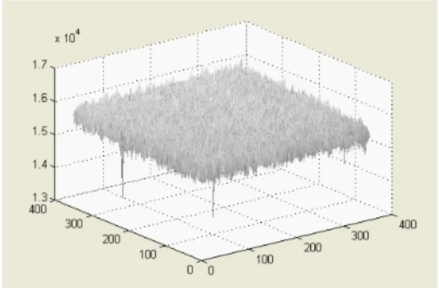 Figure  2.An  example  of  crop  image  for  calculated  NPS  of  sampled  image  from  a  white  image  at  exposure  condition  of 