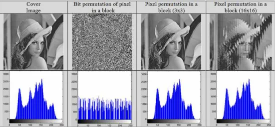 Fig. 6. The results of bit and pixel based permutations.