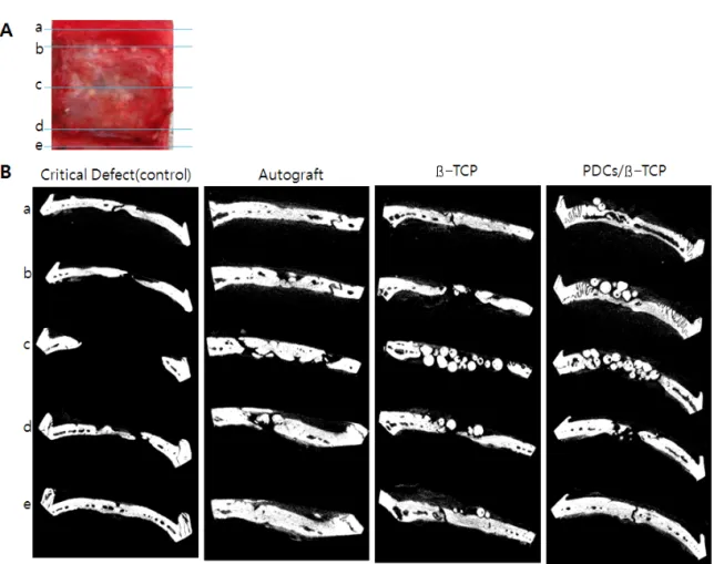 Figure  2.  Micro-CT  views  of  8  mm  critical-sized  calvarial  defects  at  8  weeks  postsurgery