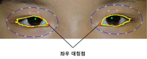 그림 6. 실제 안구 비율과 이를 반영한 3차원 안구모델크기의 검사원들을 흩어 뿌린 후 색상 정보를 조사하고 원의 내부가 각막의 색상정보와 모두 일치하는경우 각막의 내부로 판단하였으며, 여러 색상이 동시에 표현되는 경우는 눈의 외곽선 검출에 사용하였다.각막의 직경 정보의 경우 각막 내부의 검사원들 중거리가 가장 먼 두 검사원의 중심을 연결한 선분을직경으로 고려하였다(그림 4)