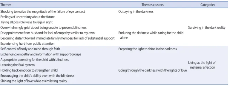Table 1. Themes, Themes Clusters, and Categories 