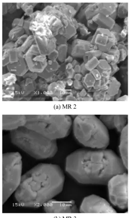 Fig. 6. SEM photographs of obtained samples.