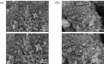 Fig. 6. FE-SEM image of with the highest crystallinity of lithium hydroxide powder;  (a) Li 2 SO 4 :Ba(OH) 2  = 1:1, 40 ℃ and (b) 