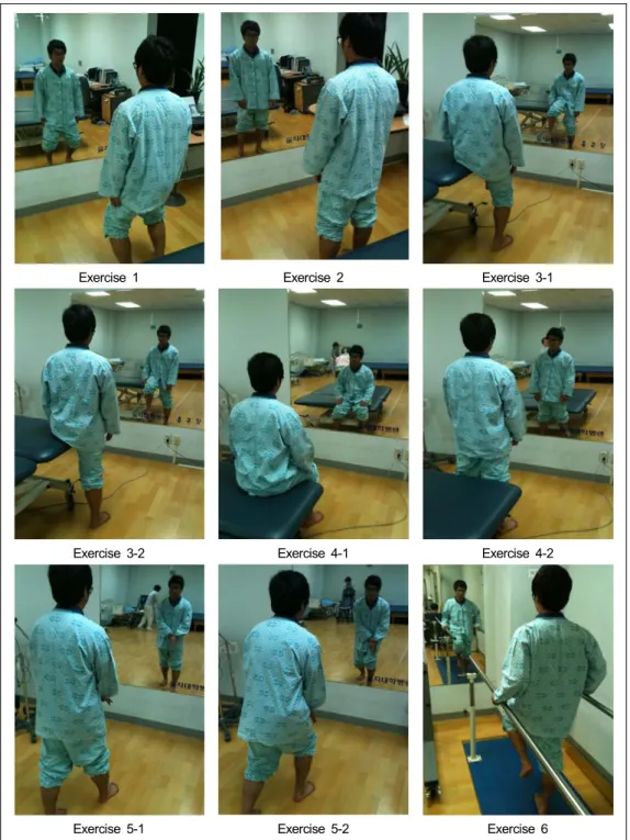 Fig. 1. Mirror exercise program