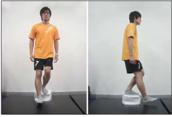 Fig. 1. Step-down test