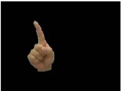 Fig. 4. Detected Hand Region.