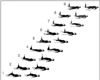 Fig 1. Supine position exercise(Stages)