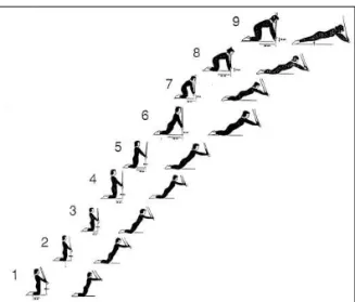 Fig 4. Lumbar strength exercise