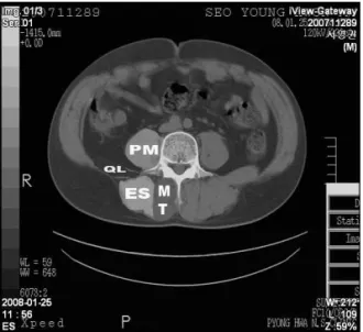 Fig 5. L4 Cross-section area (mm 2 )