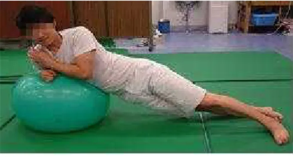Fig  2-1.  Exercise  position  1 극을 부착하였다.  표면 전극은 오른쪽 세 개의 체간 근육 근복 부위에 부착하였다.  (1)  복직근(rectus abdominis) : 배꼽에서 외측 2cm지점