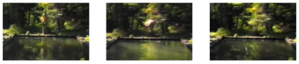 Fig.  1.  Bill  Viola,  Reflecting  Pool,  7  min,  1977-80 