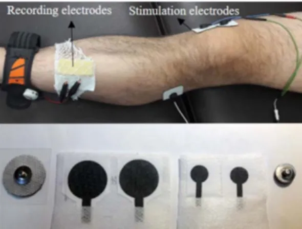 Fig. 4. Strain sensor. (Jang et al., 2019b).