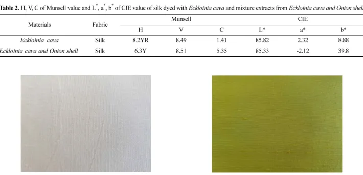 Fig. 1. Silk fabric dyed with Eckloinia cava. Fig. 2. Silk fabric dyed with Eckloinia cava and  Onion shell