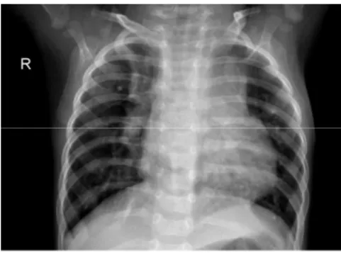 Fig.  1.  Input  image