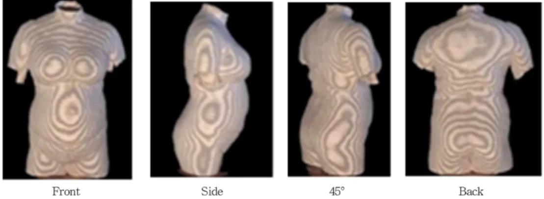 Fig. 2. Moire photographs.